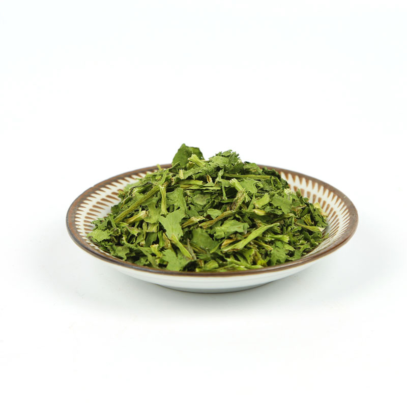 Cilantro deshidratado